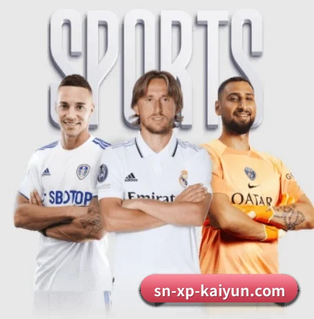 开云体育 APP 界面 | kaiyun