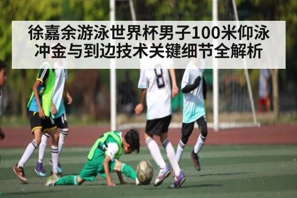 徐嘉余游泳世界杯男子100米仰泳冲金与到边技术关键细节全解析